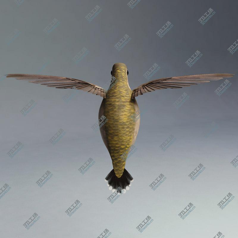 images/goods_img/2021040162/Hummingbird Pose1/4.jpg